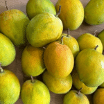 Payari Mangoes