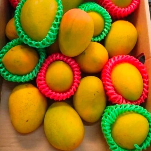 Post format gallery blogs