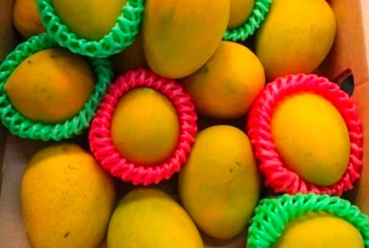 Post format gallery blogs