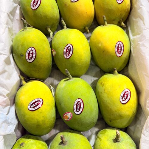 Post format audio blogs