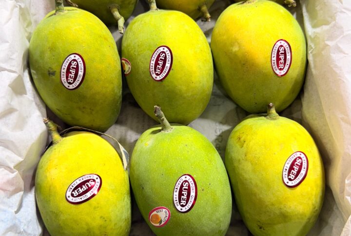 Post format audio blogs